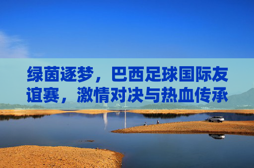 绿茵逐梦,巴西足球国际友谊赛,激情对决与热血传承