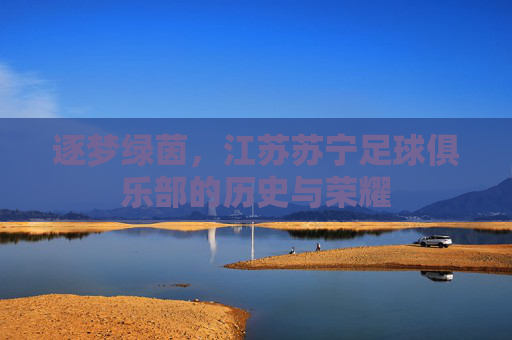 逐梦绿茵，江苏苏宁足球俱乐部的历史与荣耀