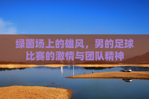 绿茵场上的雄风，男的足球比赛的激情与团队精神