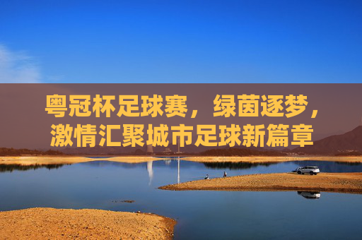 粤冠杯足球赛,绿茵逐梦,激情汇聚城市足球新篇章