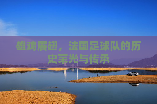 雄鸡展翅,法国足球队的历史荣光与传承