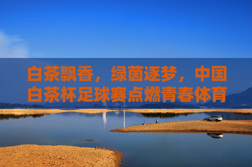 白茶飘香，绿茵逐梦，中国白茶杯足球赛点燃青春体育热情