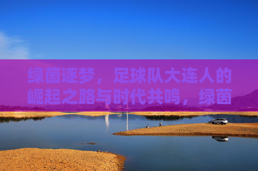 绿茵逐梦,足球队大连人的崛起之路与时代共鸣,绿茵逐梦,足球队大连人的崛起之路与时代共鸣