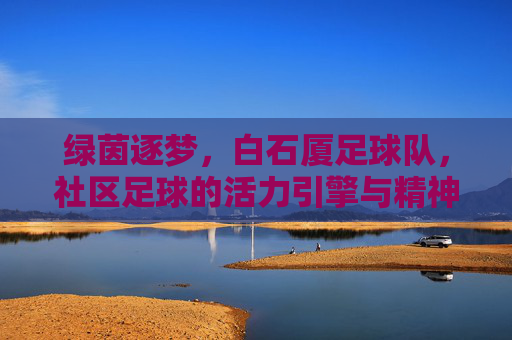 绿茵逐梦，白石厦足球队，社区足球的活力引擎与精神传承