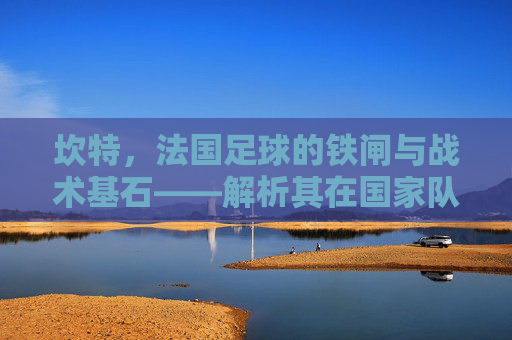 坎特，法国足球的铁闸与战术基石——解析其在国家队中的关键作用，坎特，法国足球的铁闸与战术基石——解析其在国家队的关键作用