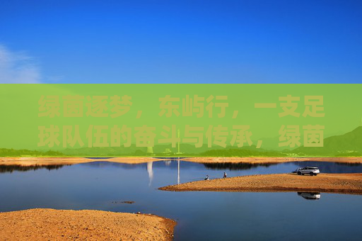 绿茵逐梦,东屿行,一支足球队伍的奋斗与传承,绿茵逐梦,东屿行,一支足球队伍的奋斗与传承