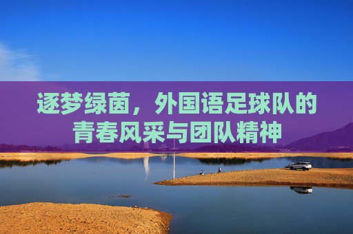 逐梦绿茵，外国语足球队的青春风采与团队精神