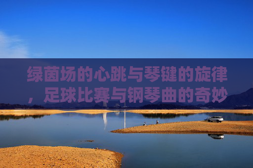绿茵场的心跳与琴键的旋律,足球比赛与钢琴曲的奇妙共鸣