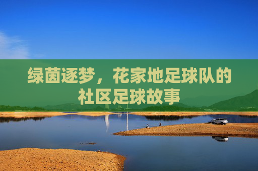 绿茵逐梦,花家地足球队的社区足球故事