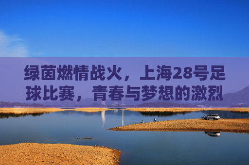 绿茵燃情战火，上海28号足球比赛，青春与梦想的激烈碰撞