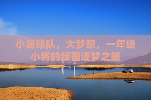 小足球队，大梦想，一年级小将的绿茵逐梦之旅