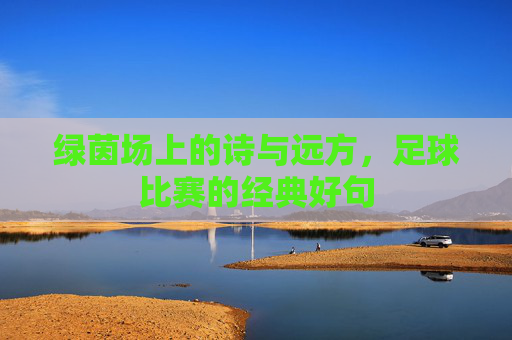 绿茵场上的诗与远方,足球比赛的经典好句
