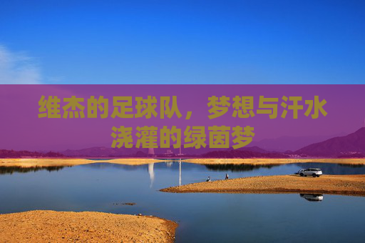 维杰的足球队，梦想与汗水浇灌的绿茵梦