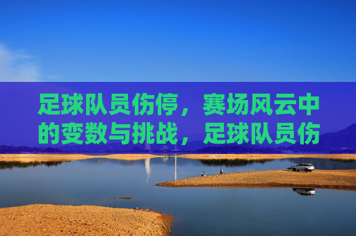 足球队员伤停,赛场风云中的变数与挑战,足球队员伤停,赛场风云中的变数与挑战