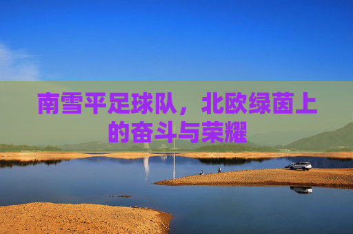 南雪平足球队，北欧绿茵上的奋斗与荣耀
