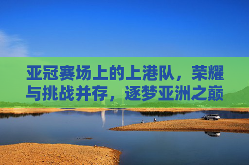 亚冠赛场上的上港队,荣耀与挑战并存,逐梦亚洲之巅的奋斗者