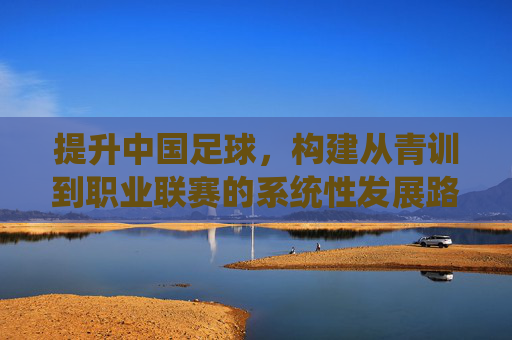 提升中国足球，构建从青训到职业联赛的系统性发展路径