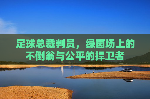 足球总裁判员，绿茵场上的不倒翁与公平的捍卫者
