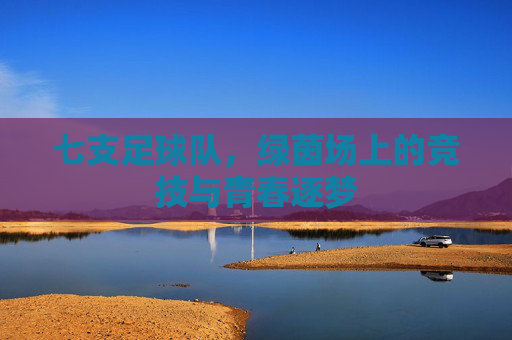 七支足球队,绿茵场上的竞技与青春逐梦