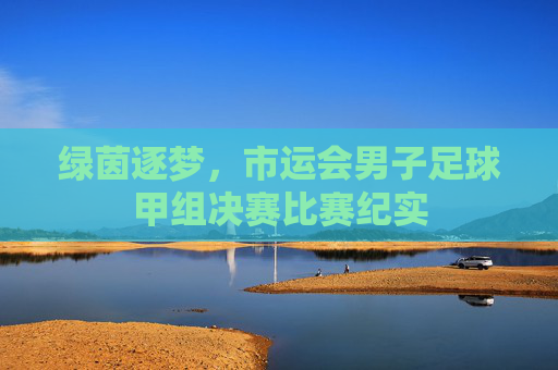 绿茵逐梦，市运会男子足球甲组决赛比赛纪实