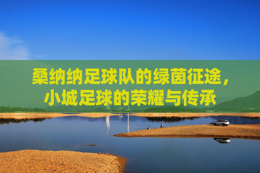 桑纳纳足球队的绿茵征途,小城足球的荣耀与传承