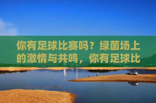 你有足球比赛吗？绿茵场上的激情与共鸣，你有足球比赛吗？绿茵场上的激情与共鸣