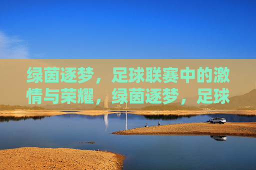 绿茵逐梦，足球联赛中的激情与荣耀，绿茵逐梦，足球联赛中的激情与荣耀
