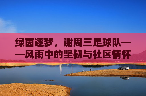 绿茵逐梦，谢周三足球队——风雨中的坚韧与社区情怀