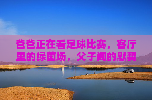 爸爸正在看足球比赛，客厅里的绿茵场，父子间的默契，客厅里的绿茵场，爸爸与儿子的足球默契