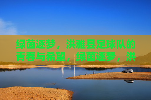 绿茵逐梦，洪雅县足球队的青春与希望，绿茵逐梦，洪雅县足球队的青春与希望