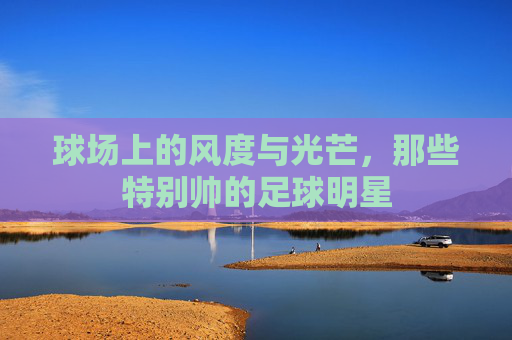 球场上的风度与光芒,那些特别帅的足球明星