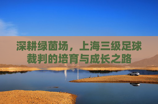 深耕绿茵场,上海三级足球裁判的培育与成长之路