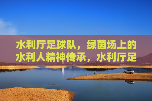 水利厅足球队，绿茵场上的水利人精神传承，水利厅足球队，绿茵场上的水利人精神传承