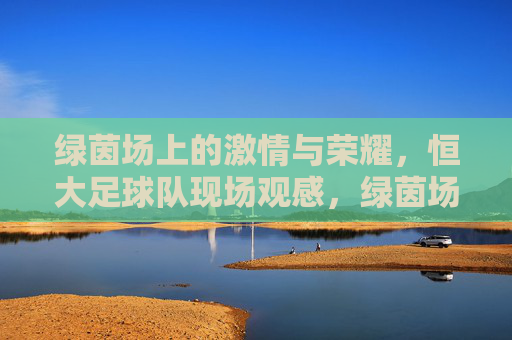 绿茵场上的激情与荣耀,恒大足球队现场观感,绿茵场上的激情与荣耀,恒大足球队现场观感