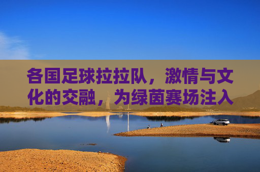 各国足球拉拉队，激情与文化的交融，为绿茵赛场注入灵魂，各国足球拉拉队，激情与文化的交融，为绿茵赛场注入灵魂
