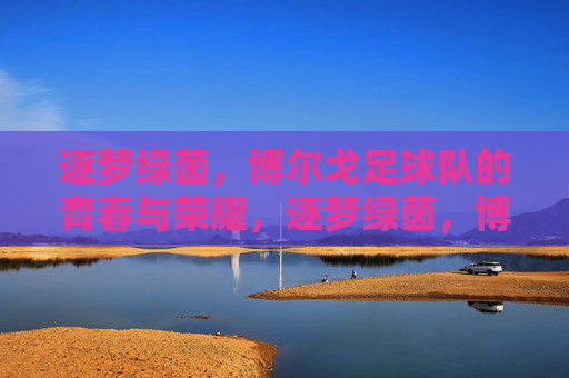 逐梦绿茵，博尔戈足球队的青春与荣耀，逐梦绿茵，博尔戈足球队的青春与荣耀