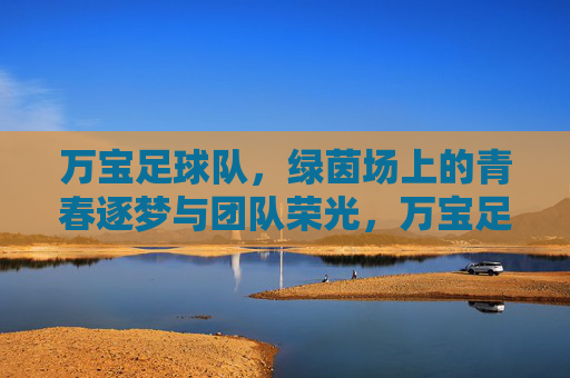 万宝足球队，绿茵场上的青春逐梦与团队荣光，万宝足球队，绿茵场上的青春逐梦与团队荣光