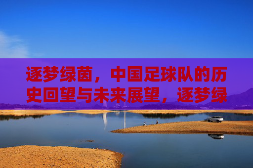 逐梦绿茵,中国足球队的历史回望与未来展望,逐梦绿茵,中国足球队的历史回望与未来展望