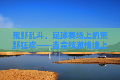 荒野乱斗，足球赛场上的荒野狂欢——当竞技激情撞上狂野法则，荒野乱斗，足球赛场上的荒野狂欢——当竞技激情撞上狂野法则