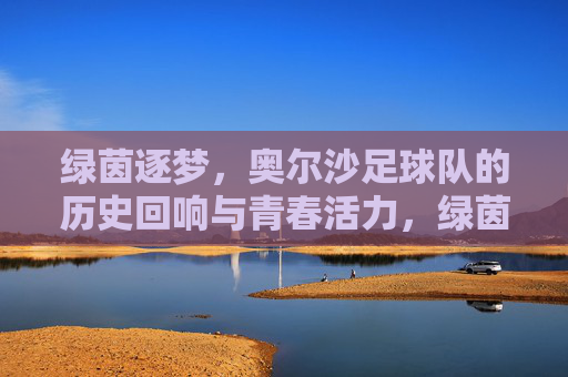 绿茵逐梦，奥尔沙足球队的历史回响与青春活力，绿茵逐梦，奥尔沙足球队的历史回响与青春活力
