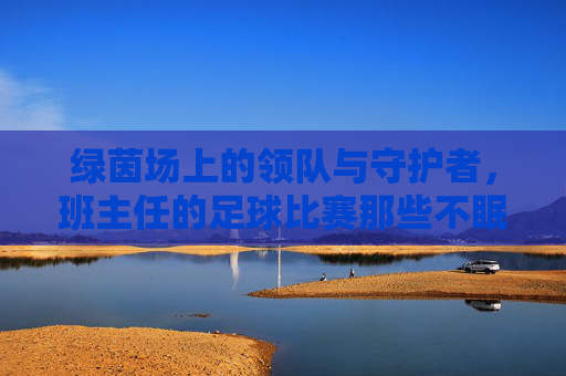 绿茵场上的领队与守护者，班主任的足球比赛那些不眠之夜与热血瞬间，绿茵场上的领队与守护者，班主任足球比赛的不眠之夜与热血瞬间