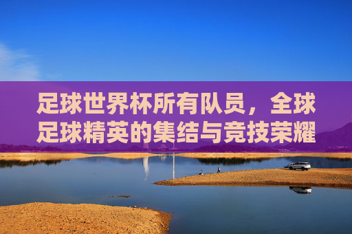 足球世界杯所有队员，全球足球精英的集结与竞技荣耀，足球世界杯，全球足球精英的集结与竞技荣耀