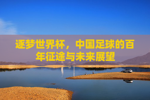 逐梦世界杯，中国足球的百年征途与未来展望