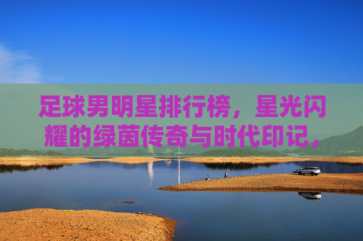 足球男明星排行榜,星光闪耀的绿茵传奇与时代印记,足球男明星排行榜,星光闪耀的绿茵传奇与时代印记
