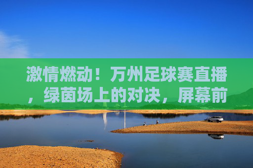 激情燃动！万州足球赛直播，绿茵场上的对决，屏幕前的共鸣，激情燃动！万州足球赛直播，绿茵场上的对决，屏幕前的共鸣