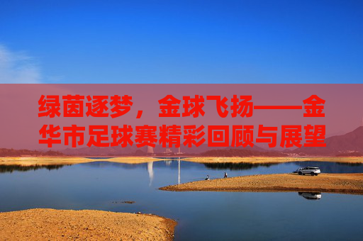 绿茵逐梦,金球飞扬——金华市足球赛精彩回顾与展望