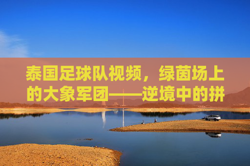 泰国足球队视频，绿茵场上的大象军团——逆境中的拼搏与民族精神的闪耀