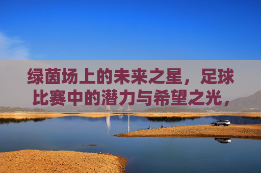 绿茵场上的未来之星，足球比赛中的潜力与希望之光，绿茵场上的未来之星，足球比赛中的潜力与希望之光