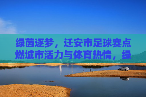 绿茵逐梦，迁安市足球赛点燃城市活力与体育热情，绿茵逐梦，迁安市足球赛点燃城市活力与体育热情
