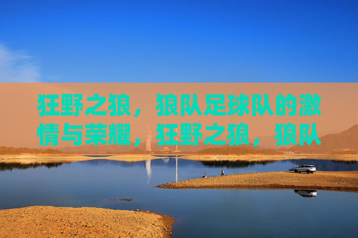 狂野之狼，狼队足球队的激情与荣耀，狂野之狼，狼队足球队的激情与荣耀